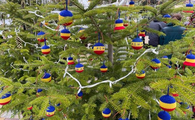 Expoziție inedită de brazi în cadrul Târgului de Crăciun de la Pitești