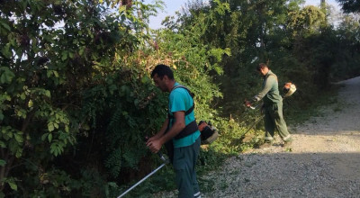 Lucrări de curățare și întreținere a rigolelor în cartierul Colibași