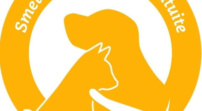 Primăria comunei Bradu lansează o campanie de sterilizare gratuită a câinilor fără stăpân!