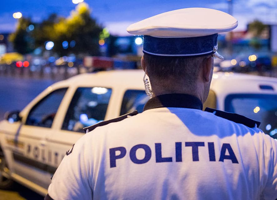 Tâlhărie în Piteşti! Un elveţian a furat 17 căţeluşi!