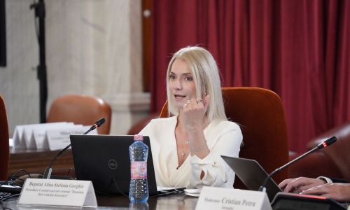 Alina Gorghiu ELIMINATĂ din fruntea PNL Argeș!