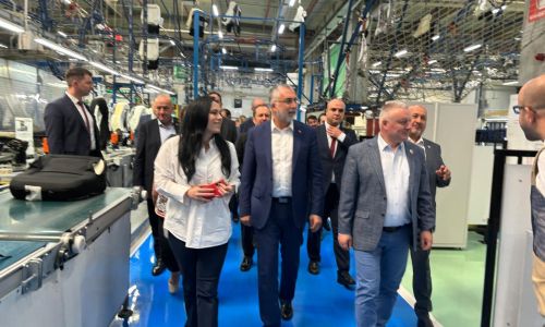 Ministrul Simona Bucura-Oprescu și omologul din Turcia, Vedat Işıkhan, vizită la două fabrici din Argeș
